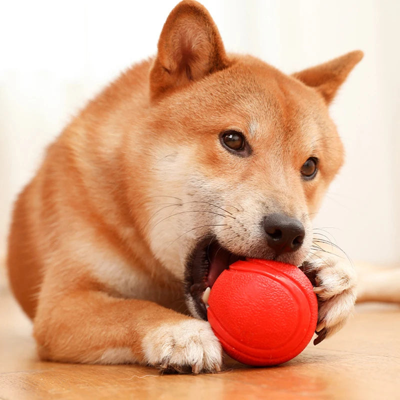 Bola de Borracha Reforçada para Cães Resistência Diversão e Saúde Bucal