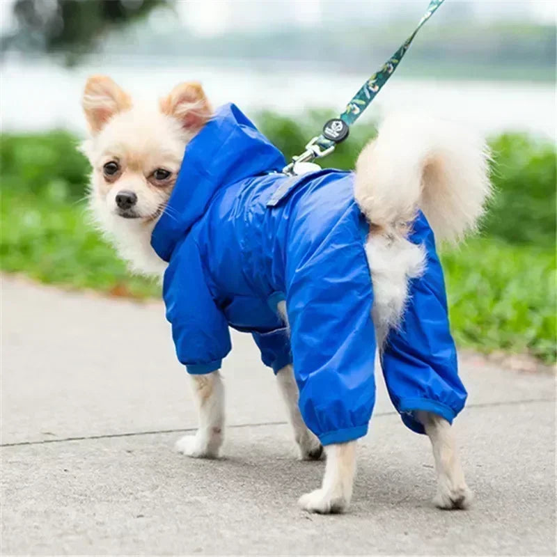 Capa de Chuva Impermeável para Cães Pequenos com Faixa Refletiva