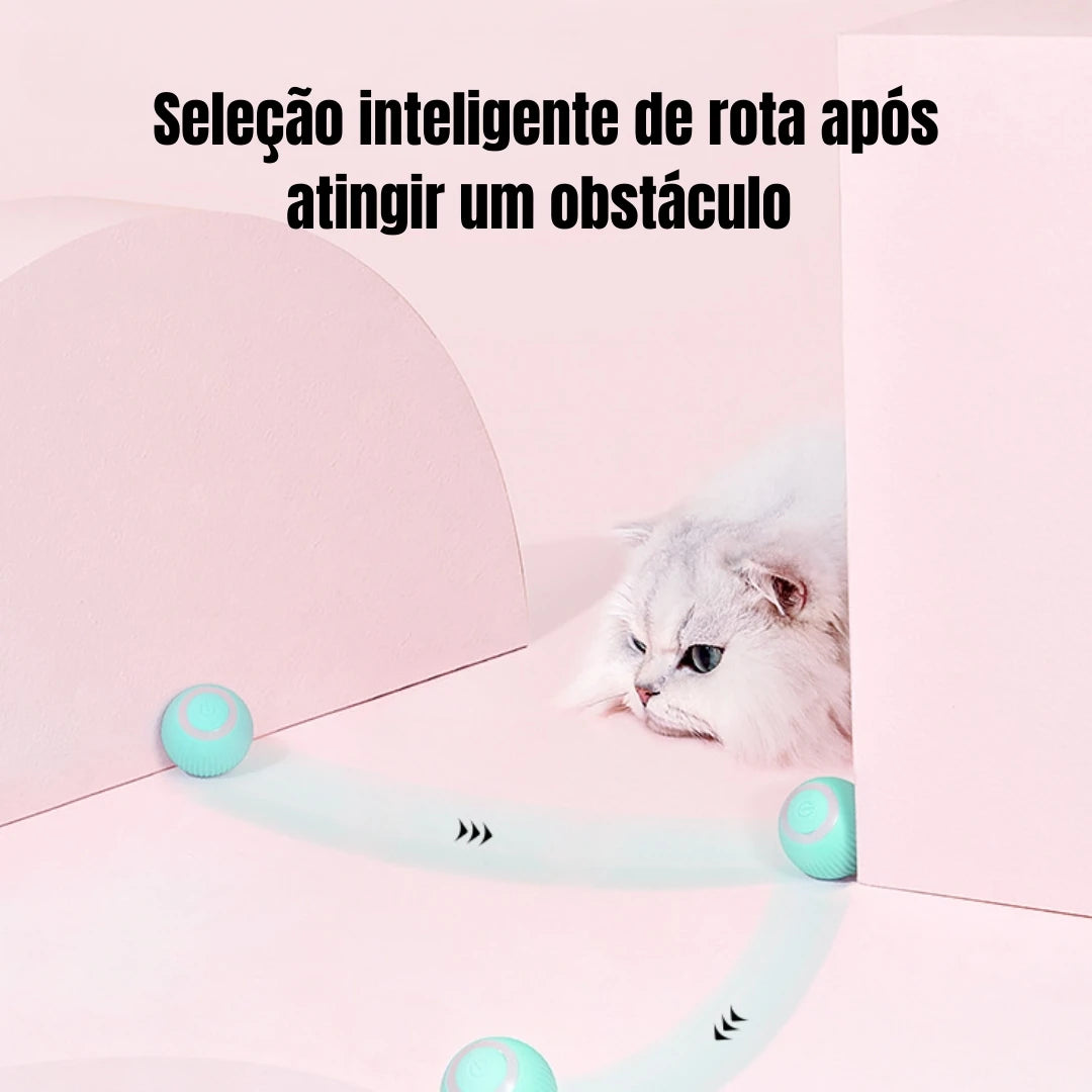 Bola Mágica Automática para Gatos e Cães