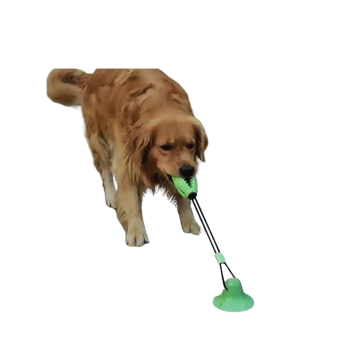 Brinquedo Interativo com Ventosa para Cães Diversão Higiene Bucal e Alívio da Ansiedade