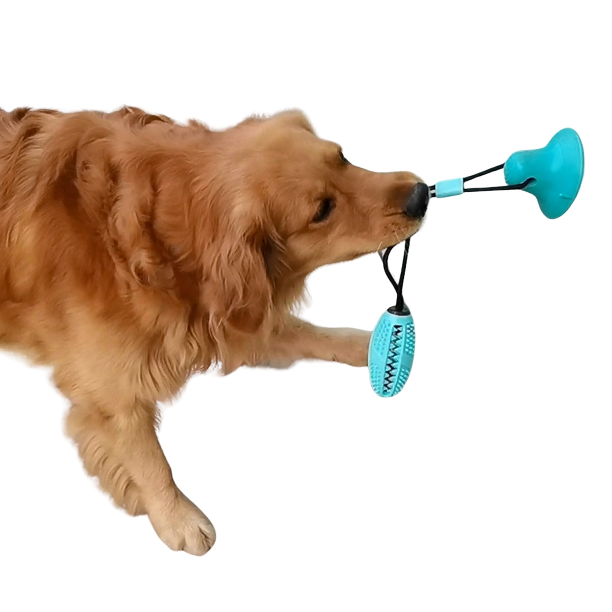 Brinquedo Interativo com Ventosa para Cães Diversão Higiene Bucal e Alívio da Ansiedade