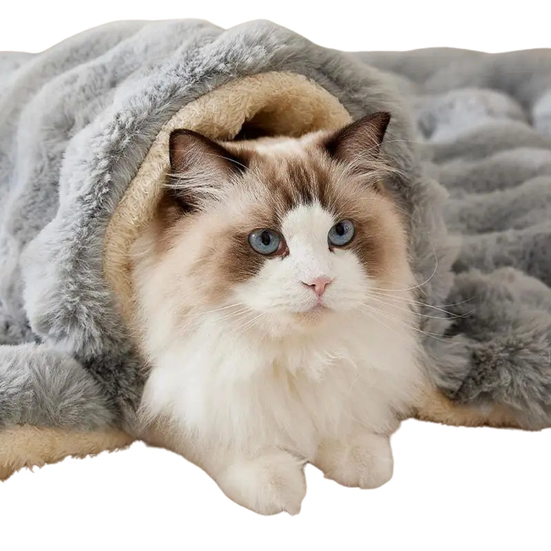 Colchonete Plush Aconchegante para Gatos e Cães