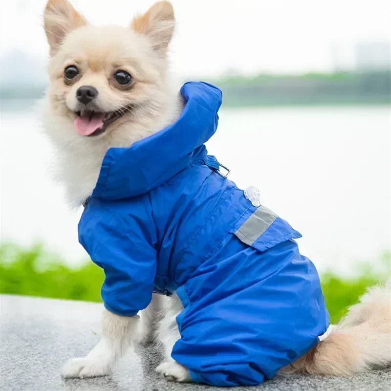 Capa de Chuva Impermeável para Cães Pequenos com Faixa Refletiva